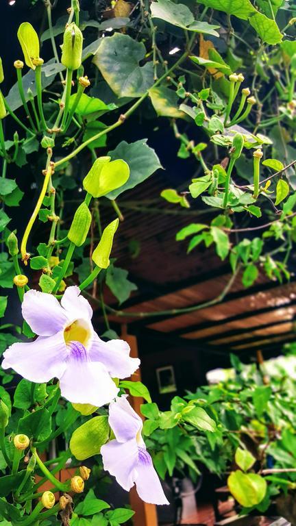 Charpoot Cottage Khao Lak Exterior photo